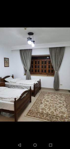 دلتا شرم